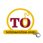 Tolima Online